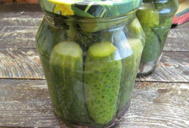 Cucumbers with basil for the winter: pickled, salted, canned