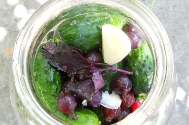 Cucumbers with basil for the winter: pickled, salted, canned