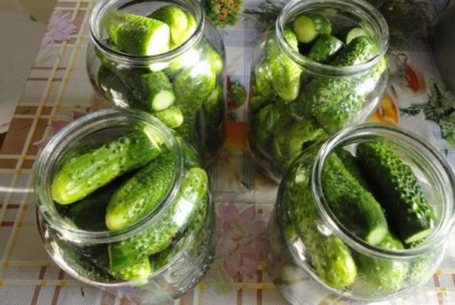 Cucumbers with basil for the winter: pickled, salted, canned