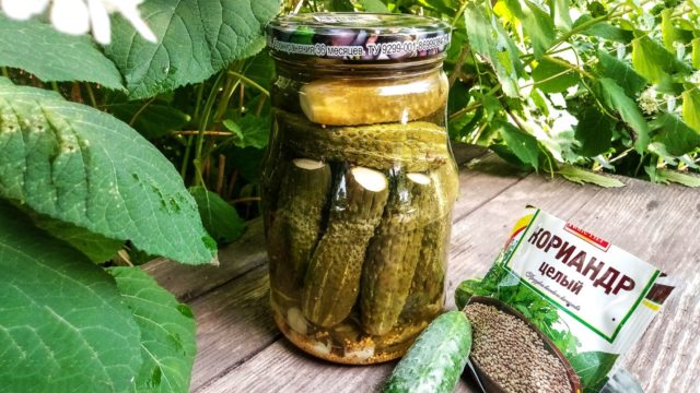 Cucumbers with basil for the winter: pickled, salted, canned