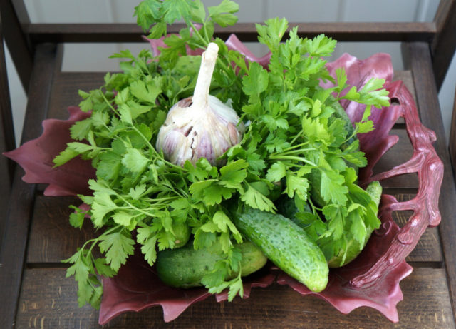 Cucumbers with parsley for the winter: recipes, without sterilization, pickled, salted