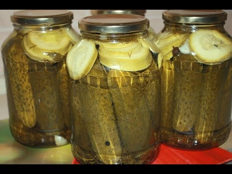 Cucumbers with zucchini for the winter: canned, crispy, pickled, salted