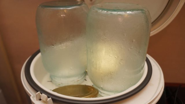 Cucumbers wrapped in horseradish leaves for the winter