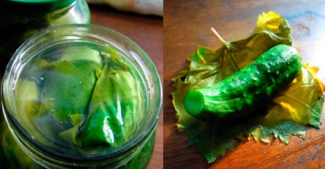 Cucumbers wrapped in horseradish leaves for the winter