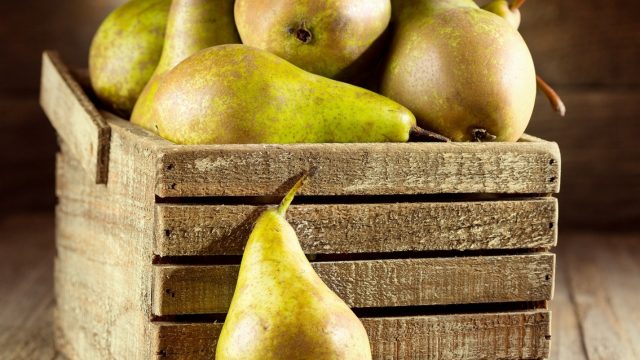 Cure pear variety: photo and description