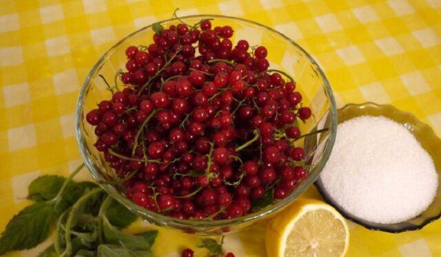 Currant compote recipes Mojito for the winter