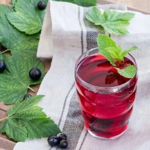 Currant compote recipes Mojito for the winter