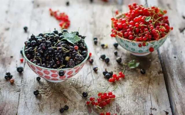 Currant jam without cooking through a meat grinder