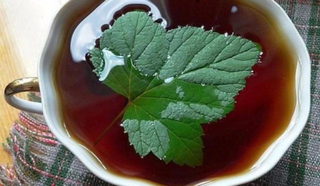 Currant Kvass Recipes