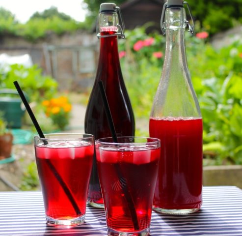 Currant Kvass Recipes