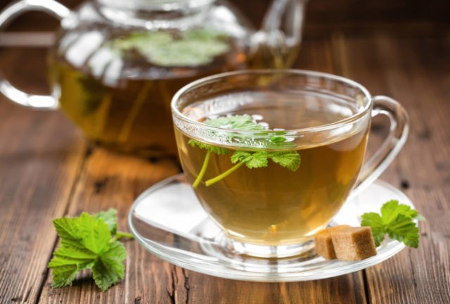 Currant leaf tea: benefits and harms, how to brew