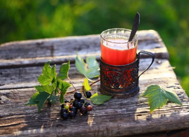 Currant leaf tea: benefits and harms, how to brew