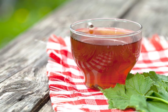 Currant leaf tea: benefits and harms, how to brew