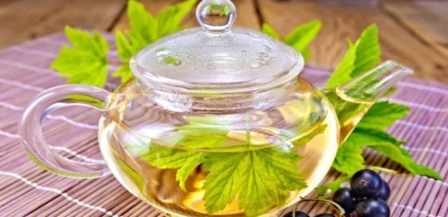 Currant leaf tea: benefits and harms, how to brew