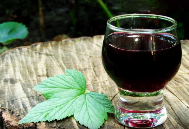 Currant moonshine: recipes from berries, buds, branches