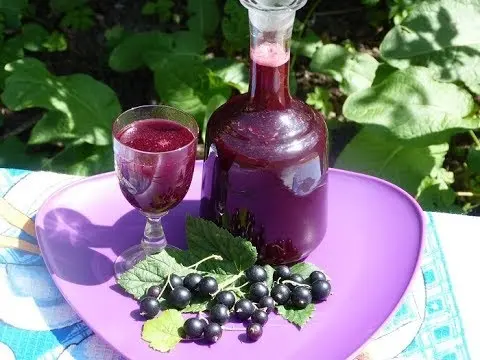 Currant moonshine: recipes from berries, buds, branches