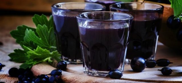 Currant moonshine: recipes from berries, buds, branches