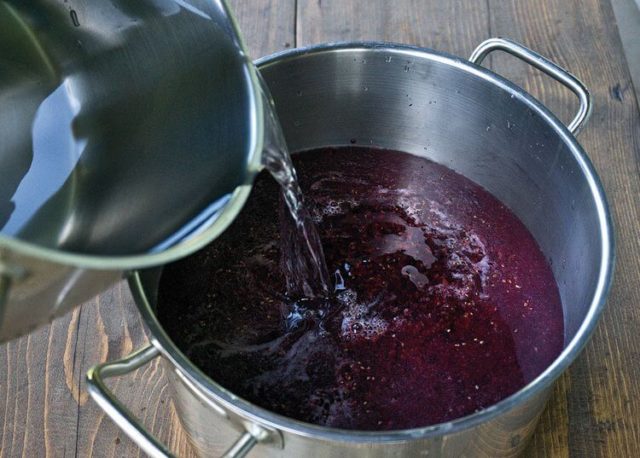 Currant moonshine: recipes from berries, buds, branches