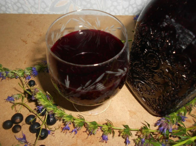 Currant moonshine: recipes from berries, buds, branches