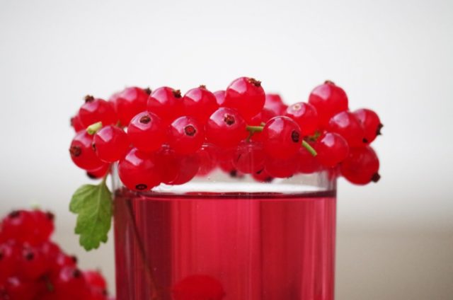 Currant syrup recipes for the winter: from red and black