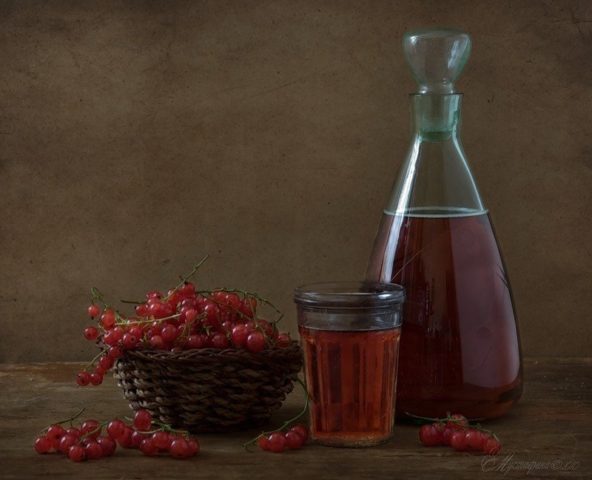 Currant Vinegar Recipes