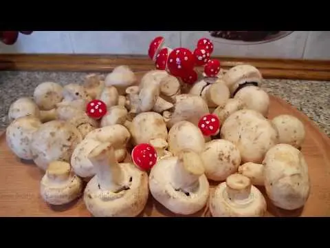 Current shelf life of fresh raw champignons