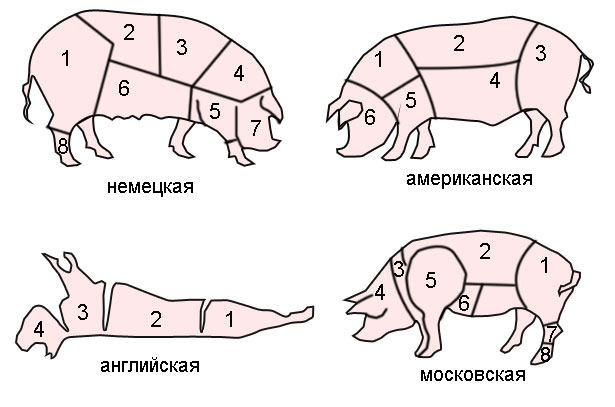 Cutting a pork carcass with a description of the parts