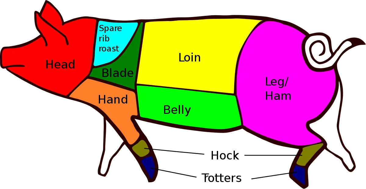 Cutting a pork carcass with a description of the parts