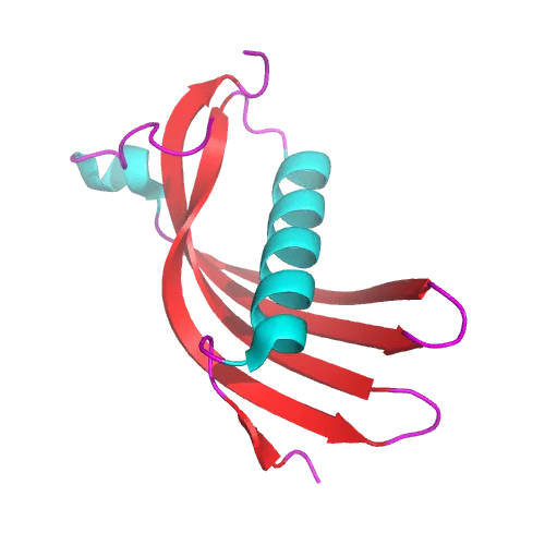 Cystatin C