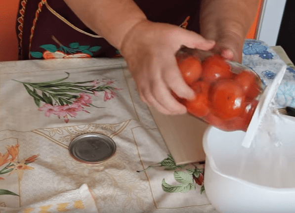 Czech tomatoes