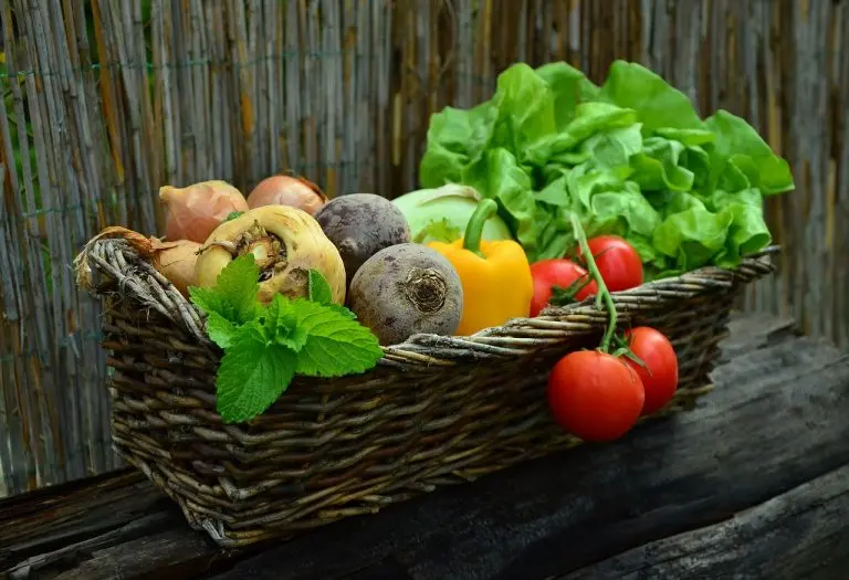 Dąbrowska&#8217;s diet &#8211; rules, menu, advantages and disadvantages of using a fruit and vegetable diet