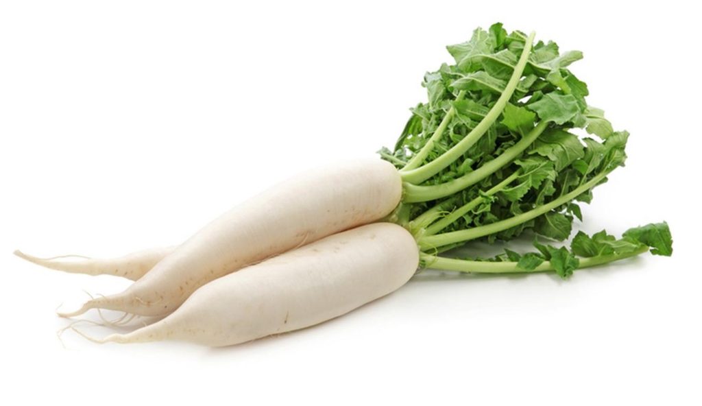 Daikon Minowashi is a popular subspecies of seed radish.