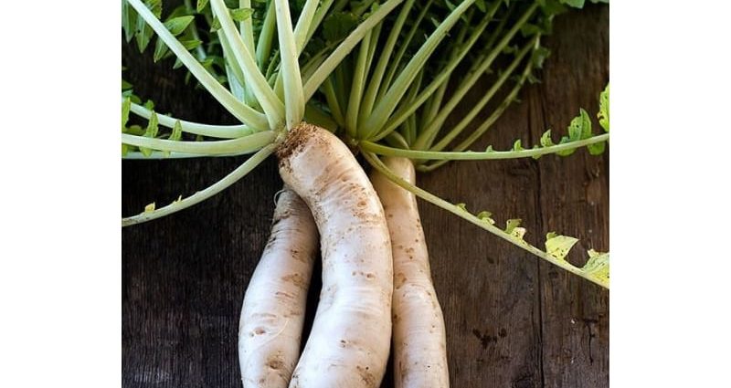 Daikon Minowashi: reviews, planting and care