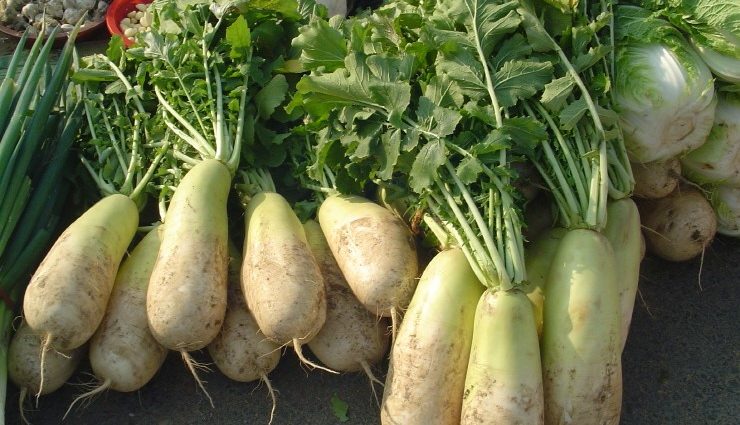 Daikon more Korean