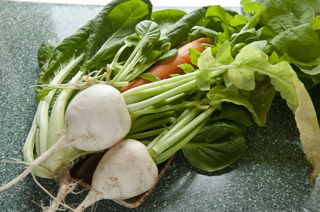 Daikon radish varieties: choosing the best for growing