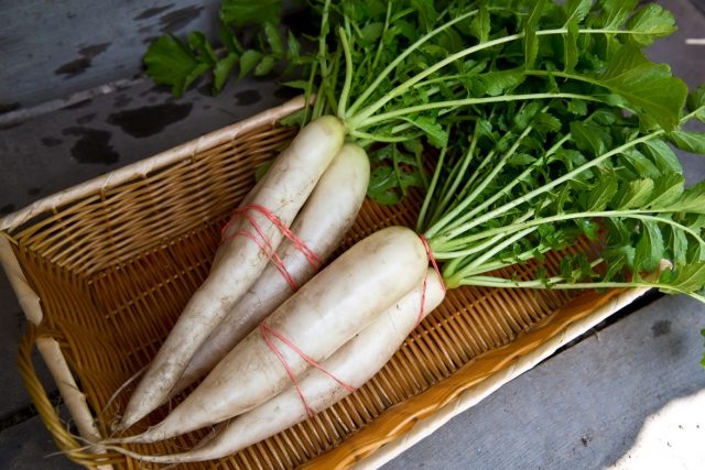 Daikon: useful properties and contraindications