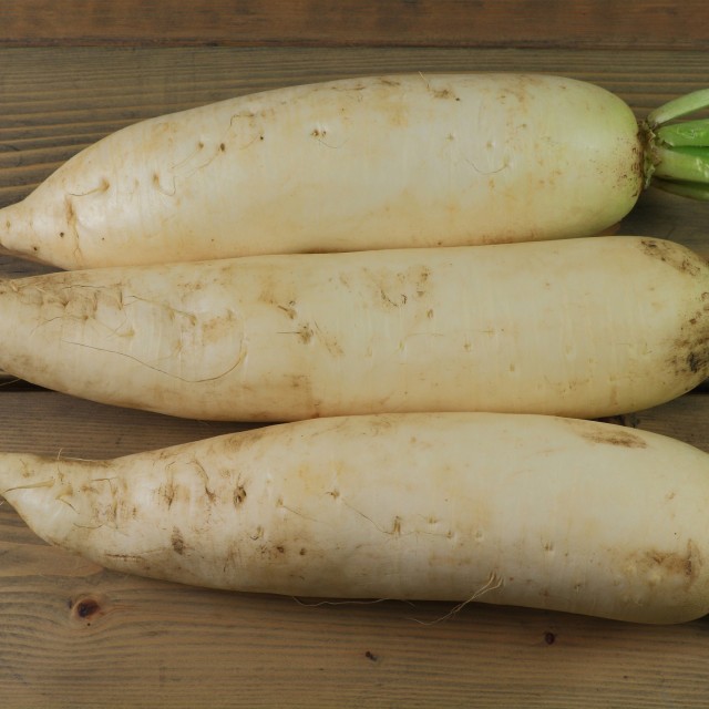 Daikon: useful properties and contraindications