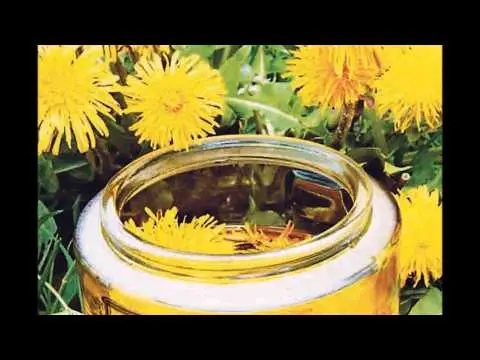 Dandelion infusion for joints: reviews, recipes