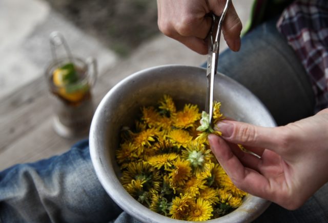 Dandelion Jam: Recipe