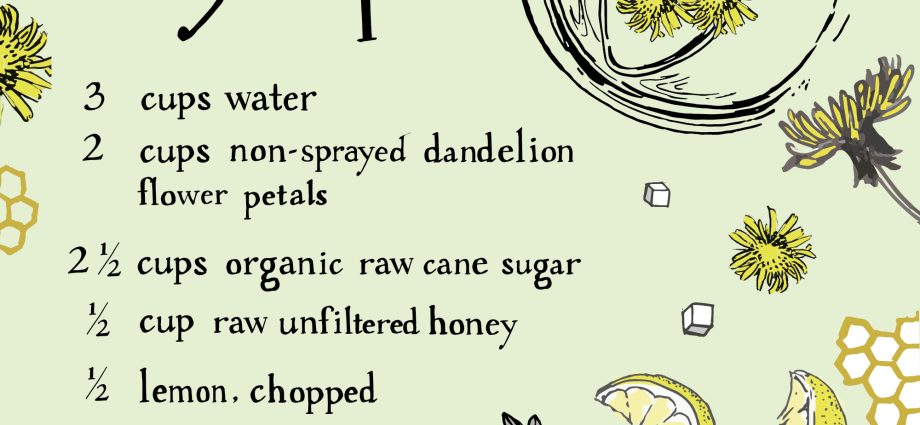 Dandelion &#8211; properties and application. What is dandelion syrup good for?