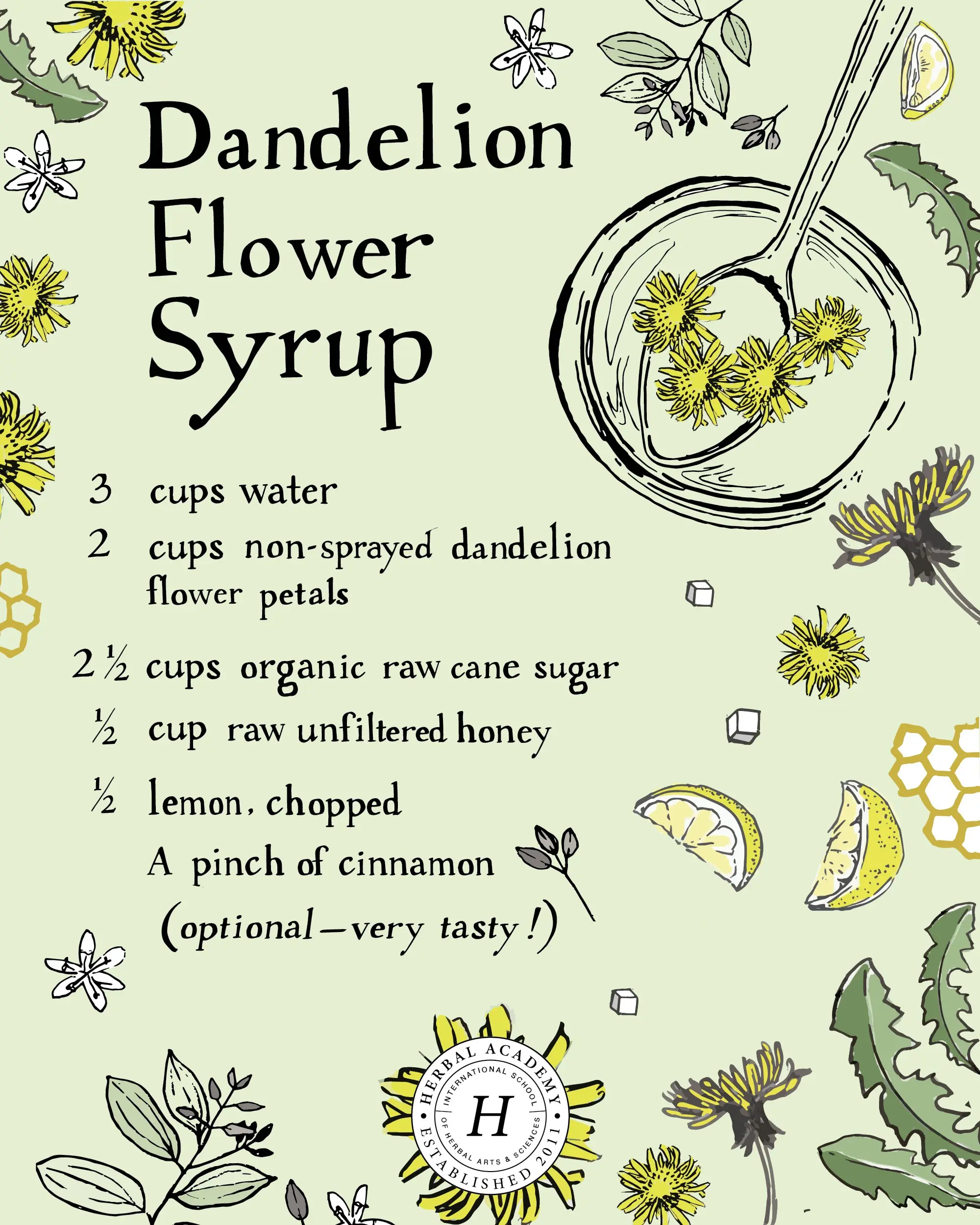 Dandelion &#8211; properties and application. What is dandelion syrup good for?