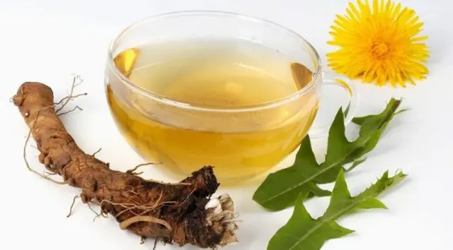 Dandelion Tea: Flowers, Roots, and Leaves Recipes