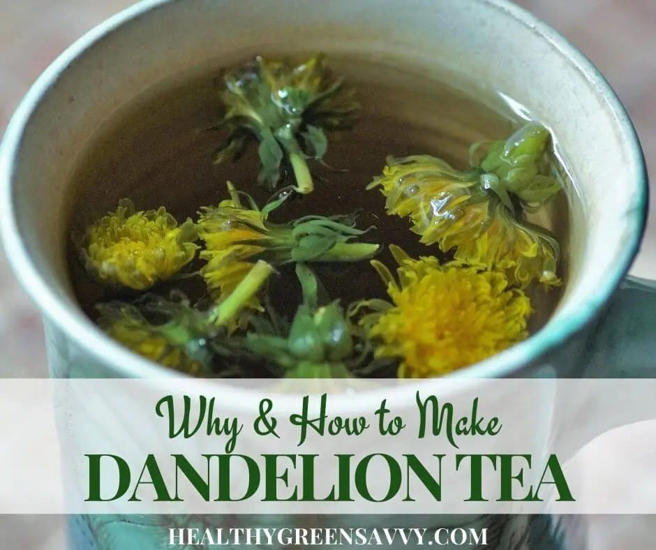 Dandelion Tea: Flowers, Roots, and Leaves Recipes