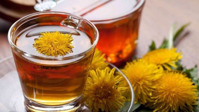 Dandelion tincture on vodka (alcohol, cologne): use for diseases