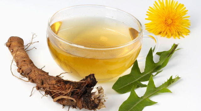 Dandelion tincture on vodka (alcohol, cologne): use for diseases