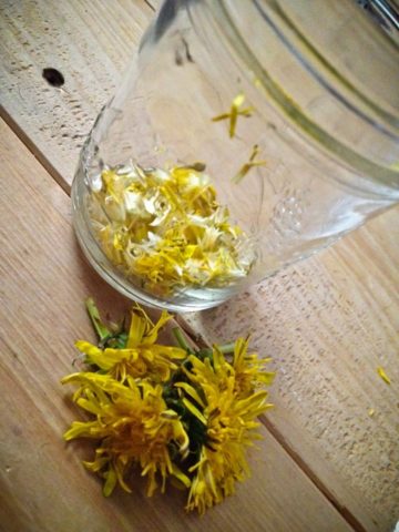 Dandelion wine: photo, benefits, taste, reviews