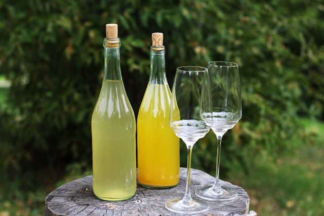 Dandelion wine: photo, benefits, taste, reviews