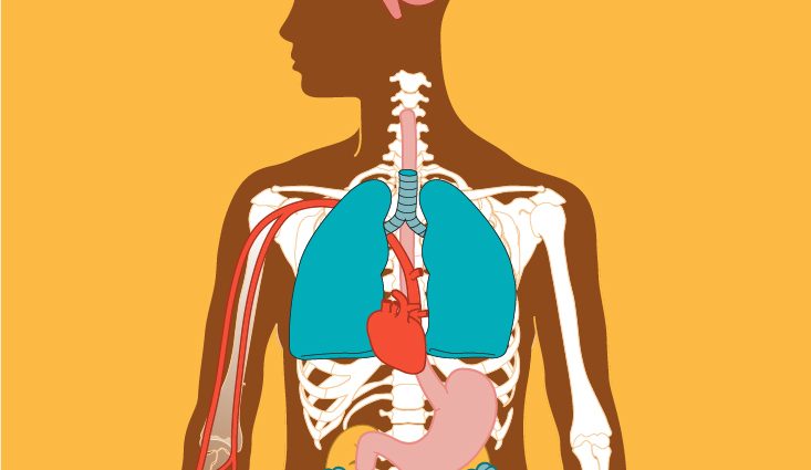 Dangerous effect of drinking alcohol. Pay attention to these symptoms