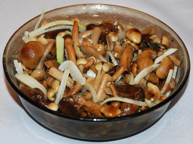 Dark mushroom (spruce, ground, dark brown): photo and description of how to cook