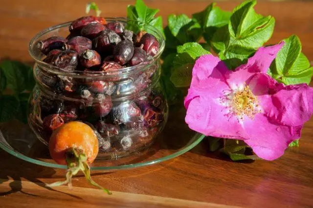 Decoction, infusion of wild rose: benefits and harms, recipe, how to drink